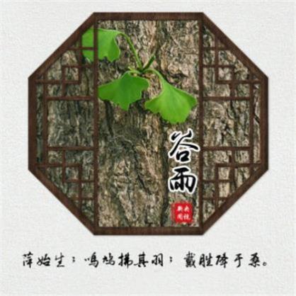 宝宝2周岁生日朋友圈感言