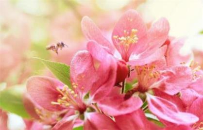 光棍节朋友圈说说