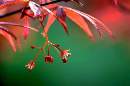 4月14日情人节