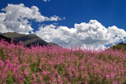 给客户节日祝福短信[18句] (十月的阳光弥漫着喜庆…)