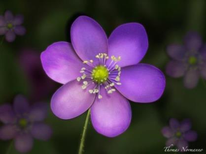 老师毕业赠言给同学