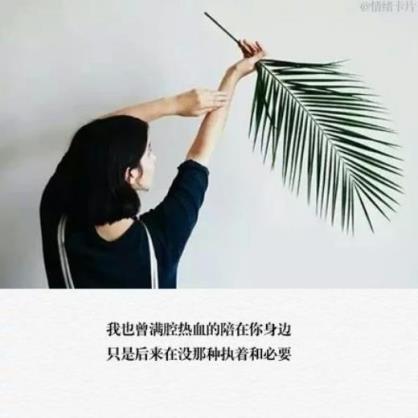 继承者们经典句子