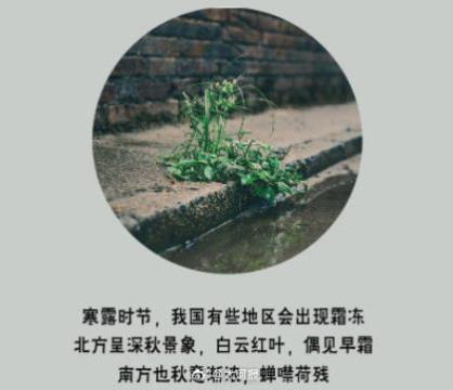 关于喝酒的伤感句子半斤不当酒