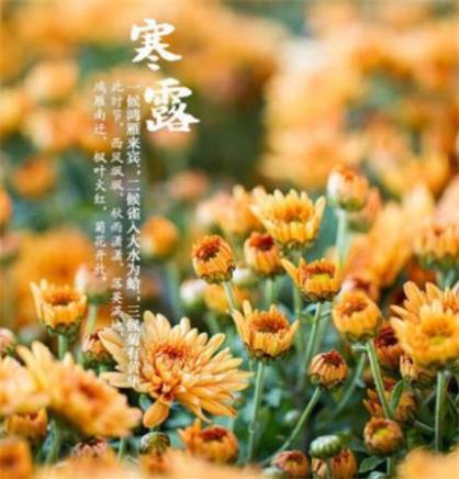 教师节祝福语大全