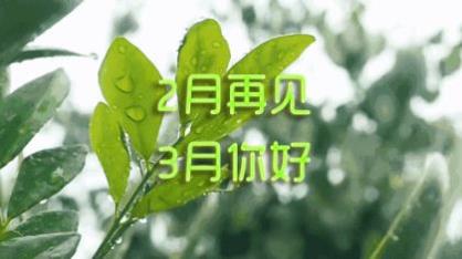 微信五月花感恩母亲节