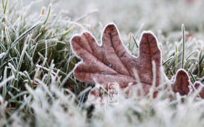 下雪的说说心情短语