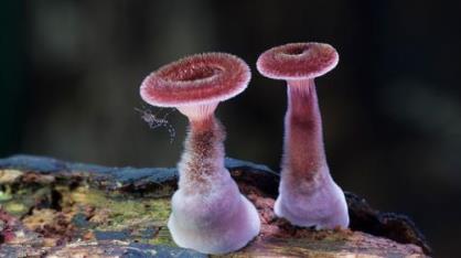 下雨天伤感心情短语