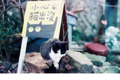 新年开门红激励口号(本年销售开门红口号)