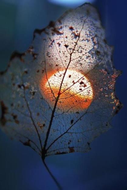 大年三十除夕祝福语 2023除夕春节祝福短信