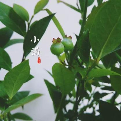 下雨天想你的句子