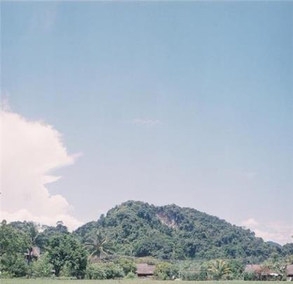 写水果比喻句(熟透了的石榴高兴地笑了…)