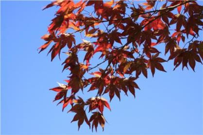 三八妇女节走心祝福文案